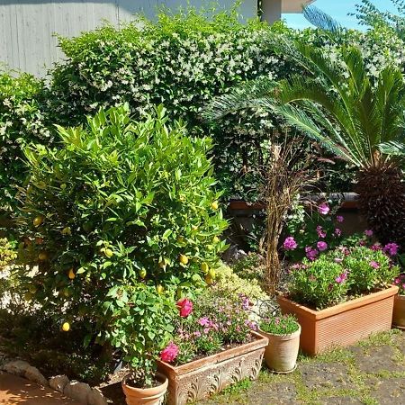 B&B Villa Noemi Формия Екстериор снимка