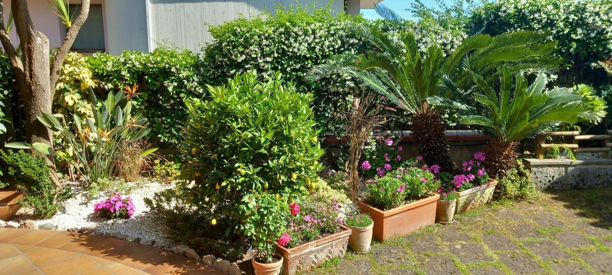 B&B Villa Noemi Формия Екстериор снимка